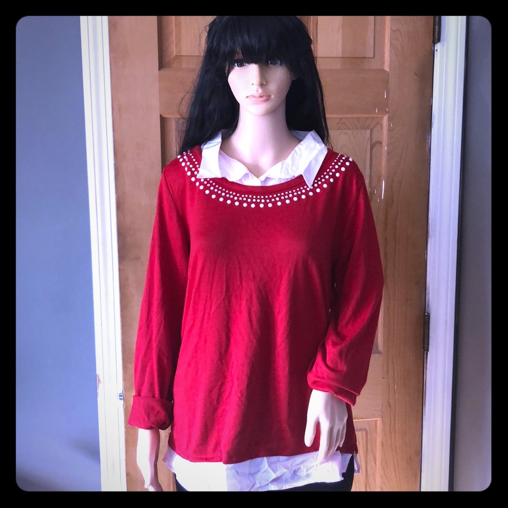 This is a collared shirt/sweater combo